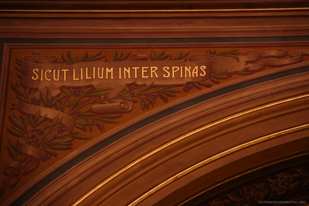 lírio entre espinhos